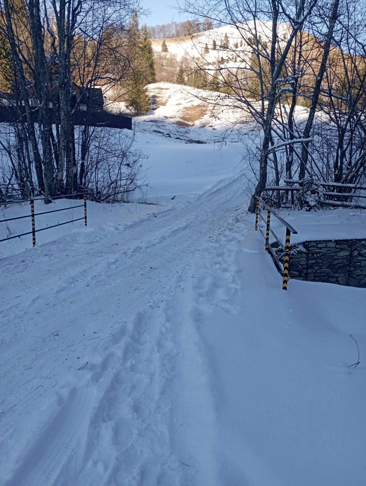 Vand teren in Petru  voda judetul neamt ,4 euro mp negociabil