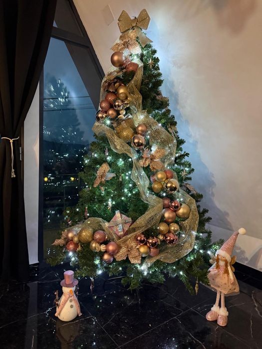 A Frame  -  Sibiu Rezervat Revelion