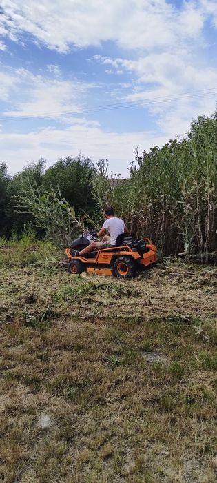 Tai Tund Iarba Plante Gazon Curat Radacini Nivelez Teren