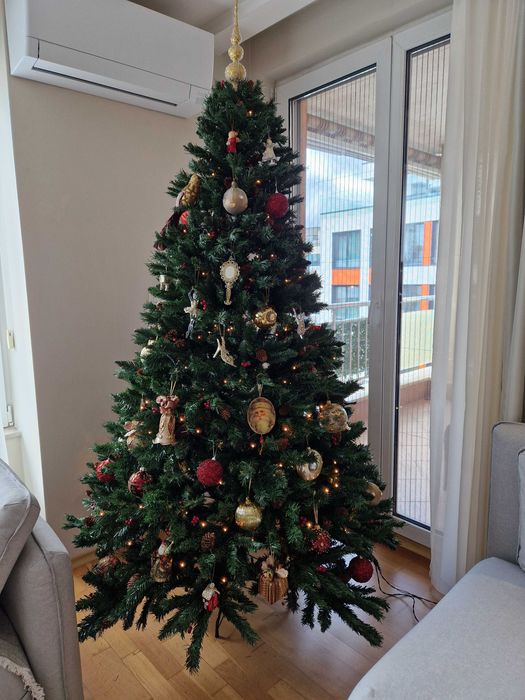 Елха с шишарки и глог 210см