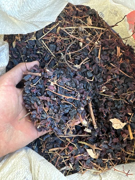 Astatka mayiz bor qopida 25kgdan