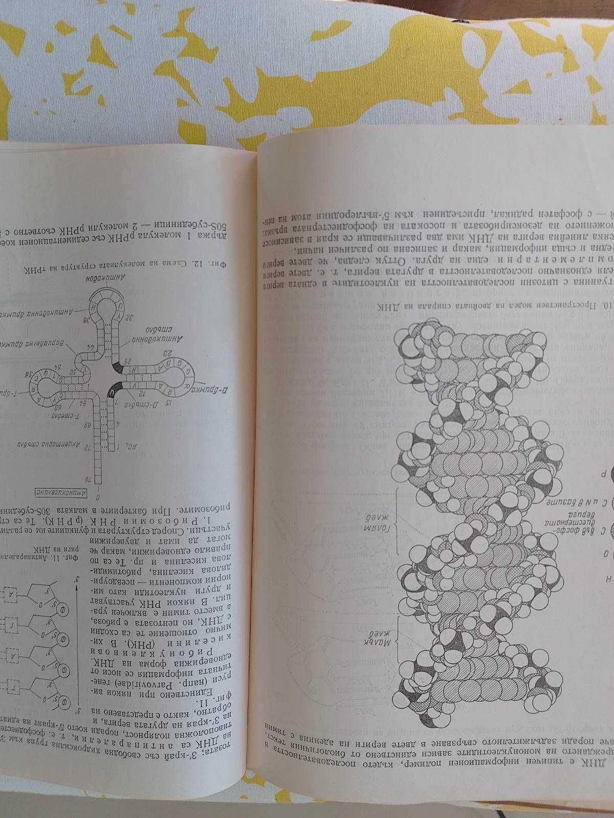 Учебник по микробиология