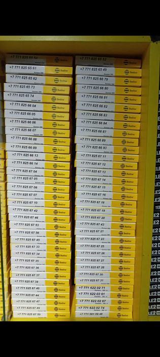 Номера Билайн. Баланс 500тг