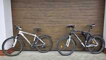 Bicicleta Focus Whistler 26"