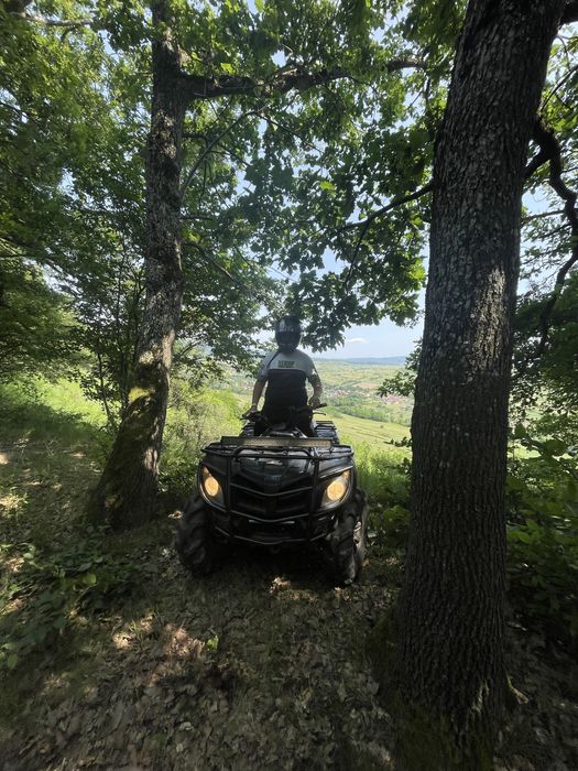 Vand atv dinli800 in stare foarte buna de lp fuctionare