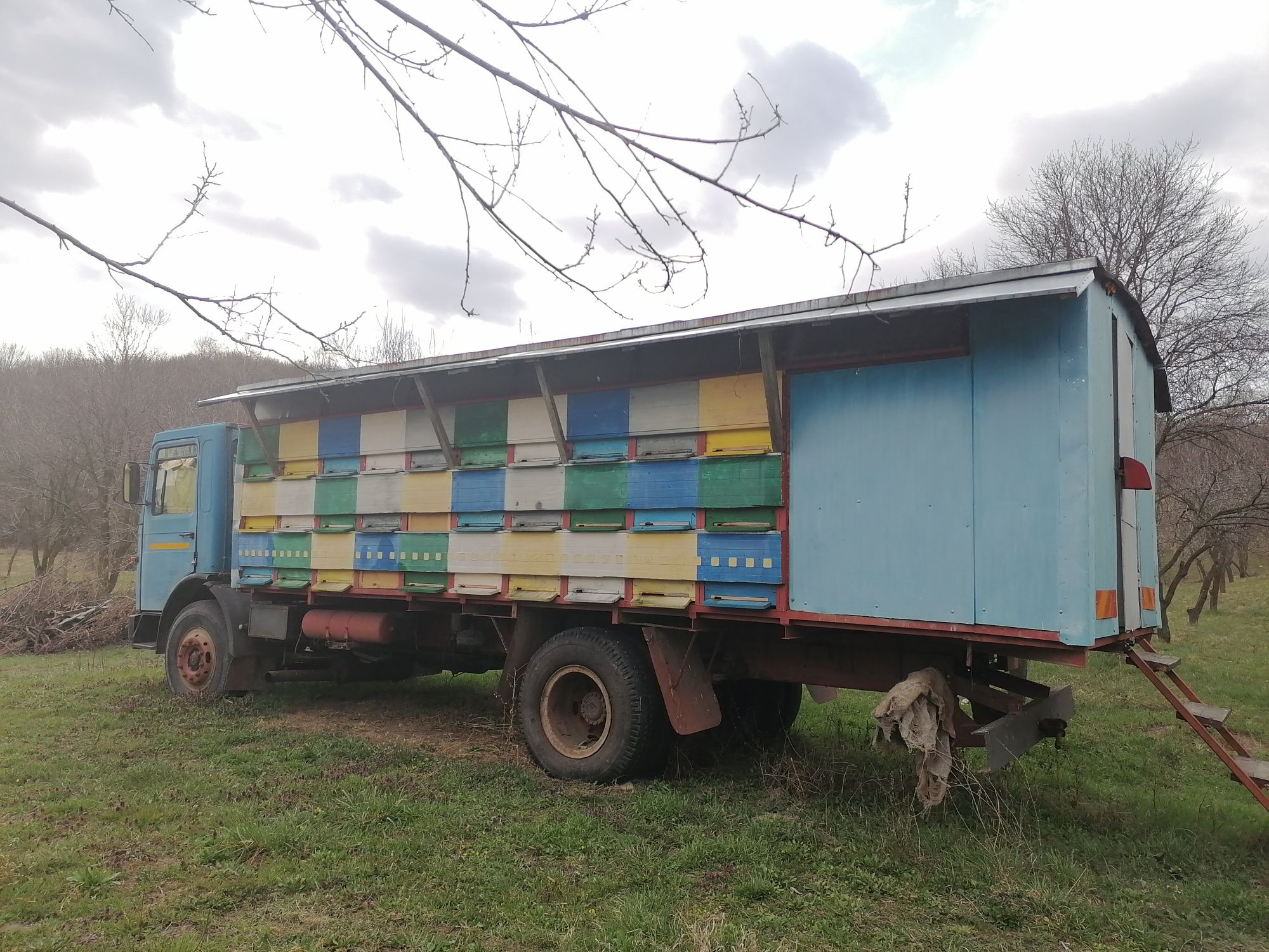 Camion apicol de vânzare