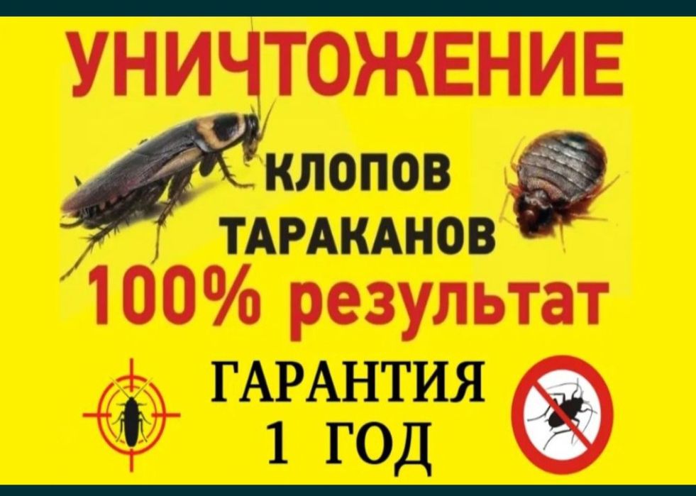 Дезинфекция с Гарантией от Клопы,Тараканы