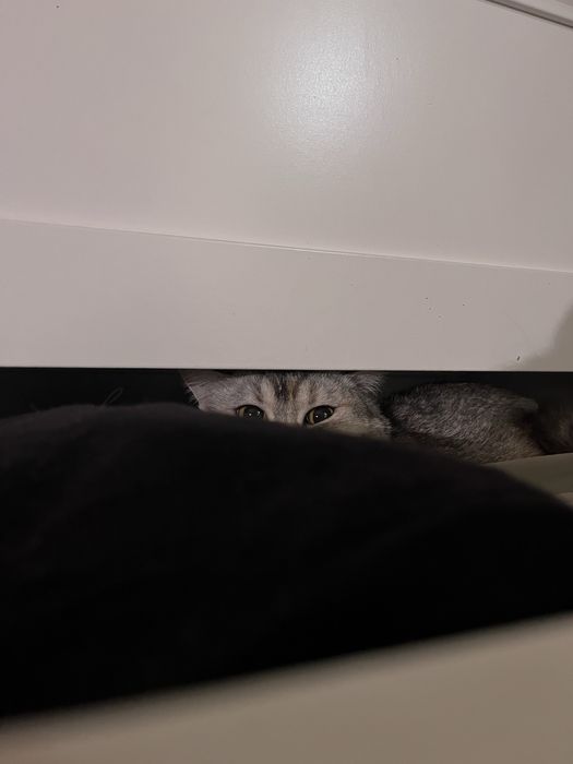 Продам кроссовки nike metcon