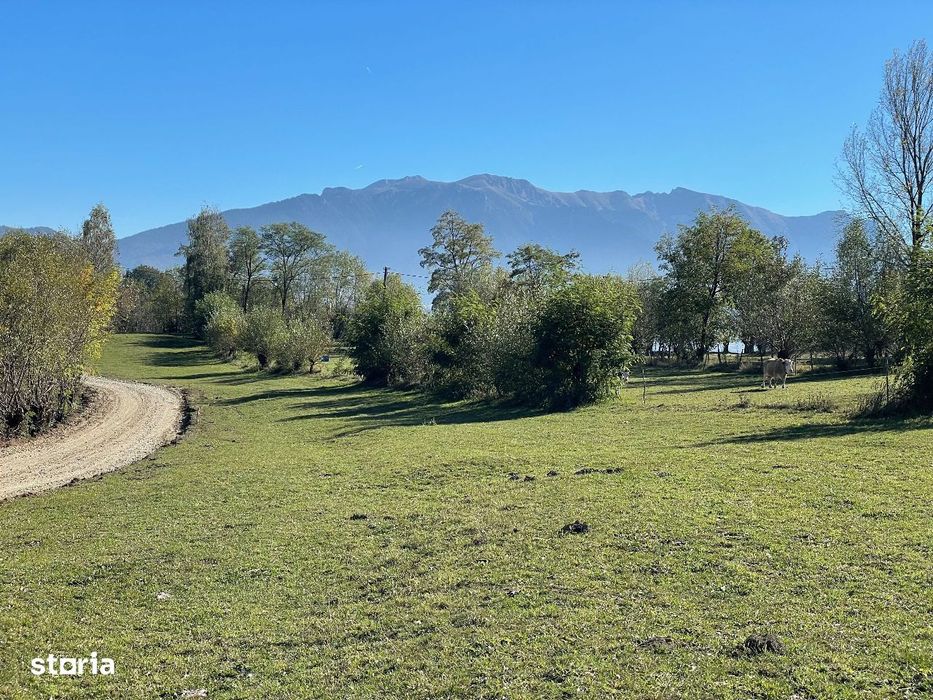Teren la munte intravilan la 5 km de Moeciu si 20 km de Fundata