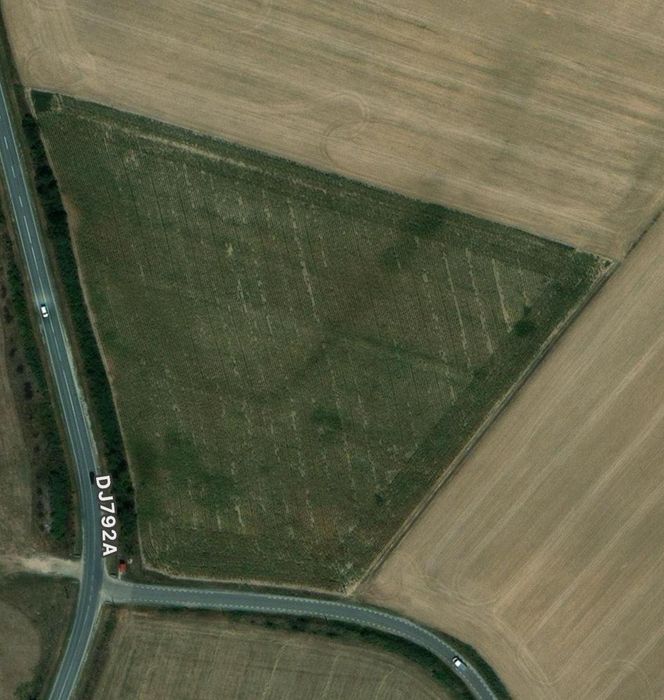 Teren extravilan Pausa