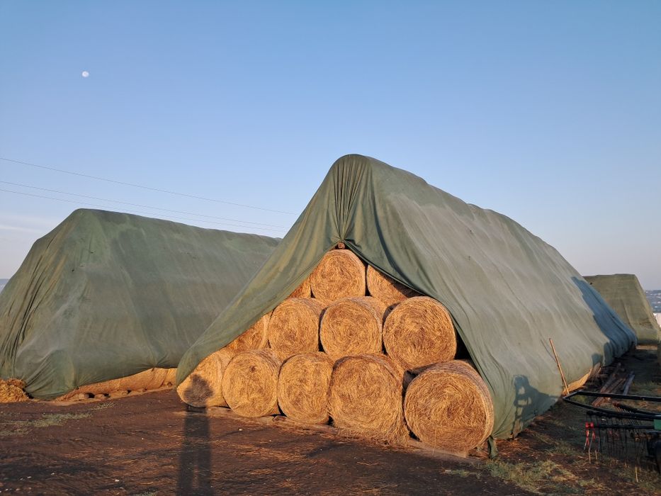 Vand baloti de fan si borceag