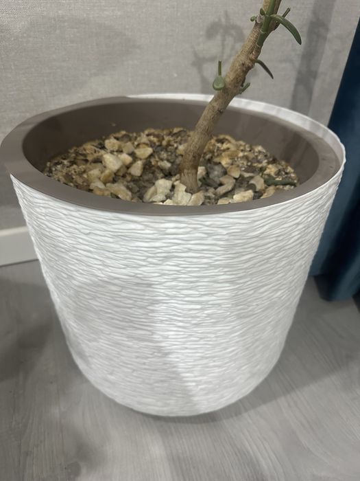 Посуда для цветка