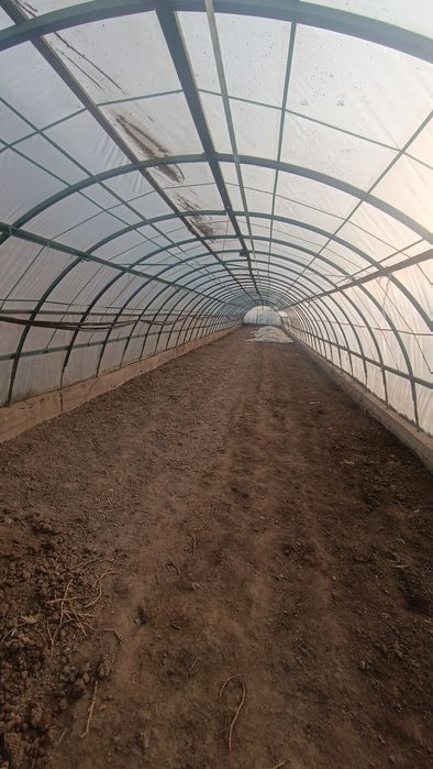 2sotix issiqxona tayyor olib oʻrnatasiz hamma jihozlari bor