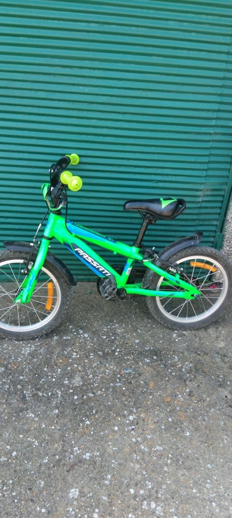 Passati  Gepard 16