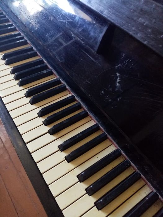 Фортепиано Приморье