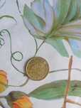 Moneda Rara 20 Centimos