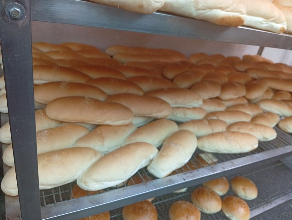 Hoddog va gamburger nonlari sifatli mahsulotlar hammasi bizda mavjud