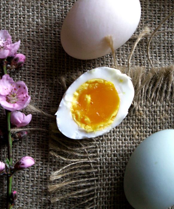 Oua bio de țară 100% naturale