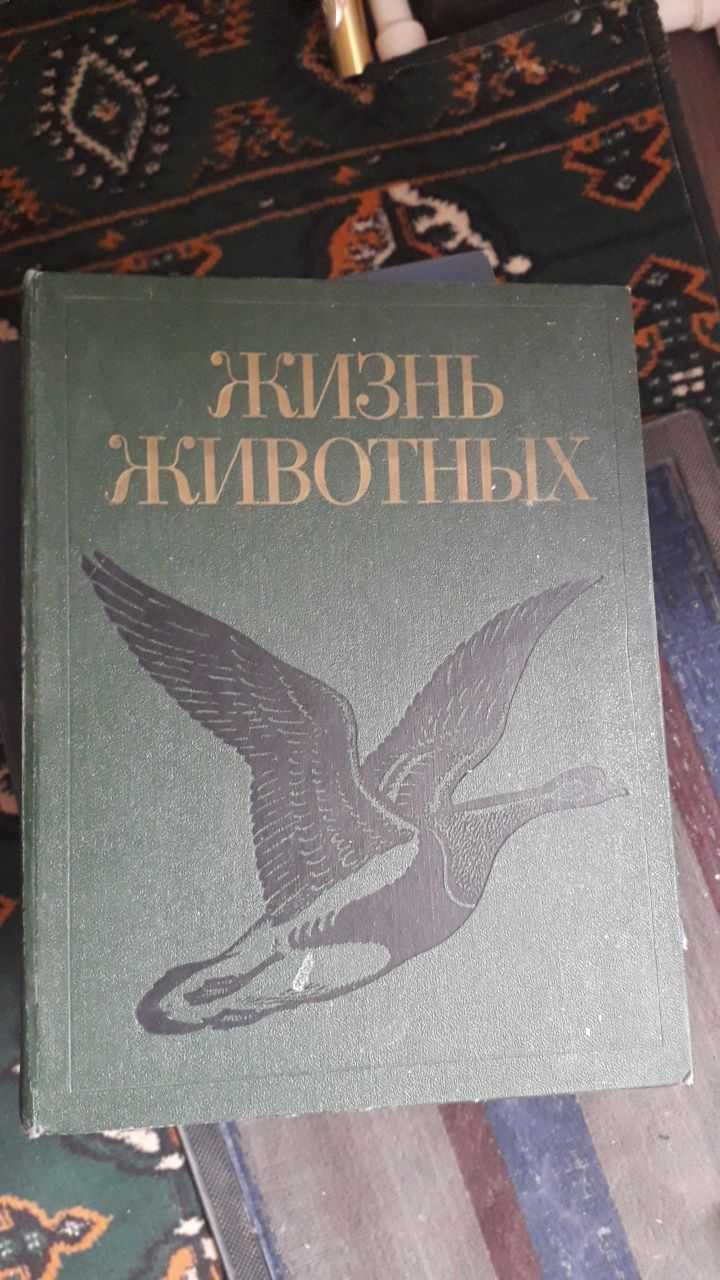 Узбекистон энциклопедияси. Жизнь животных