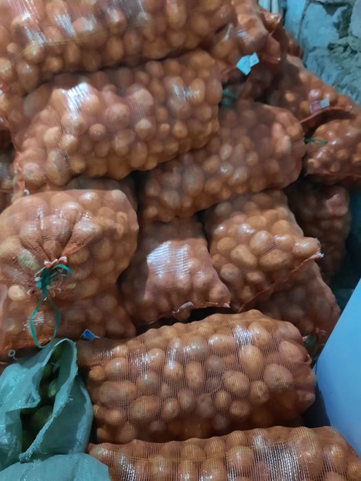Продам домашний картофель