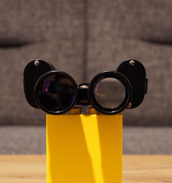 Binoclu Steiner Bayreuth 8x30 - model rar