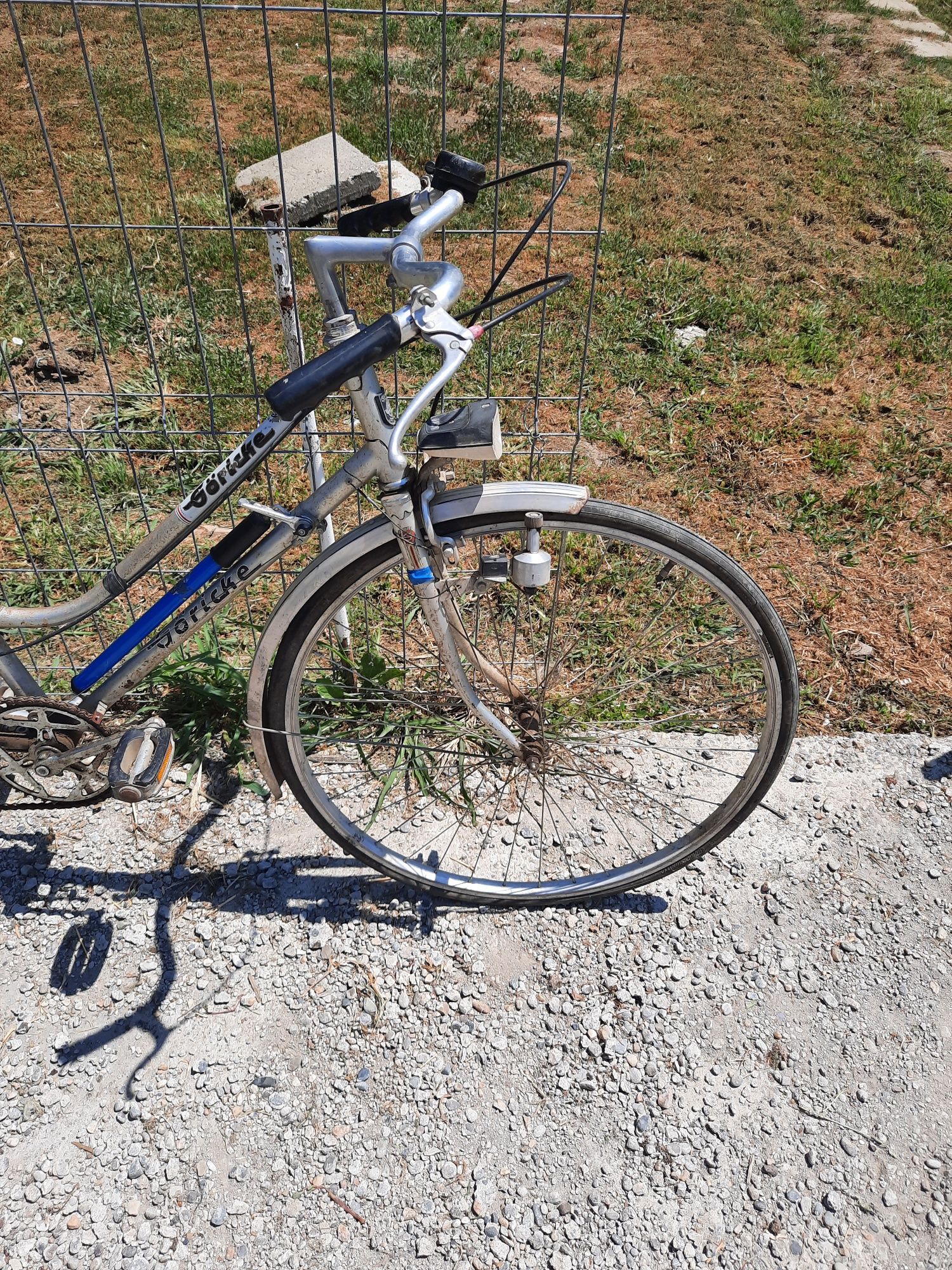 Bicicleta Goricke