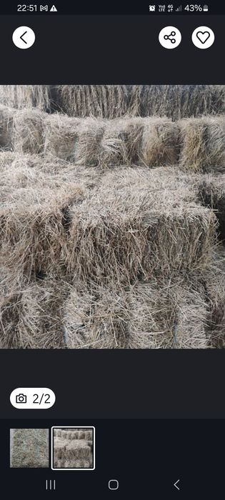 Vănd făn sau schimb