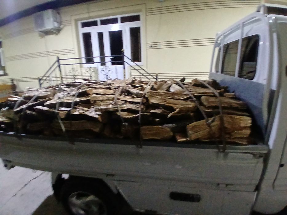 Shaftoli utin sotiladi