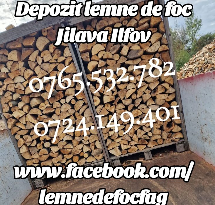 Lemne de foc , fag, carpen, stejar . Taiate la orice dimensiune.