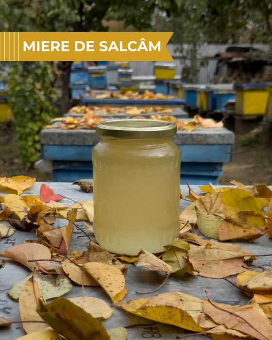 Vând miere 100% naturală producție 2025 - stupină proprie