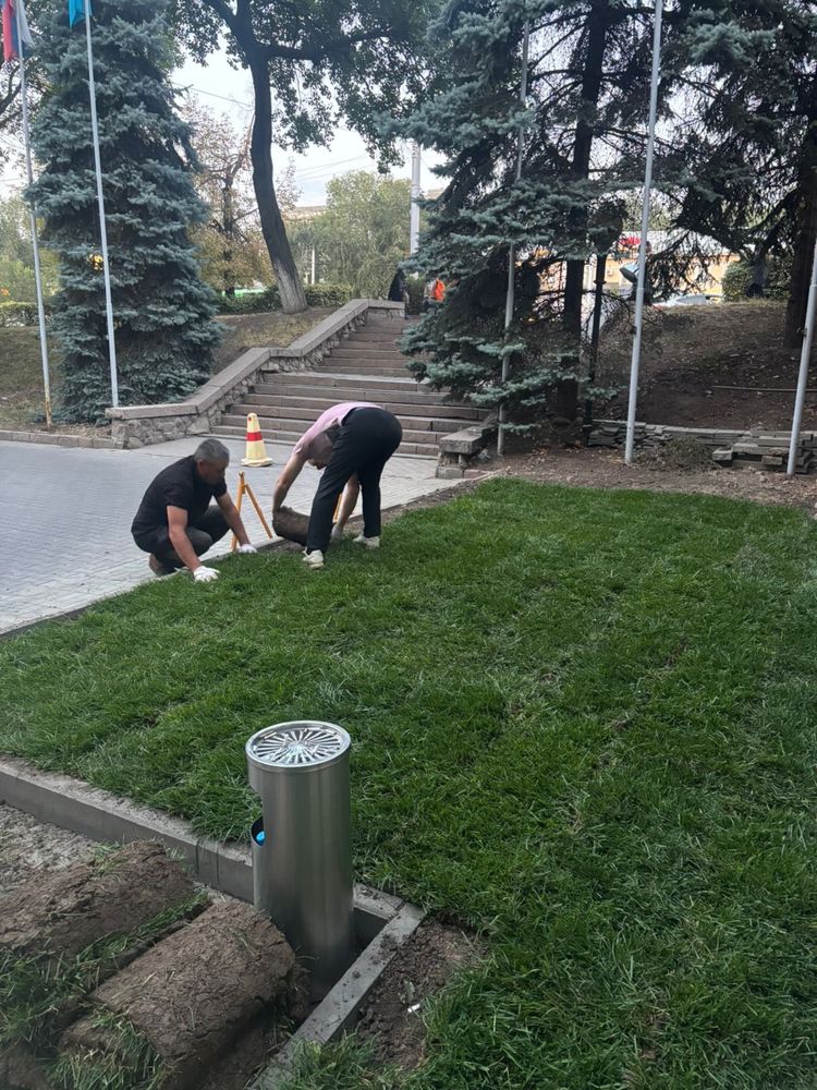 Газон живой ДОСТАВКА ПО КАЗАХСТАНУ густой живой от  питомника
