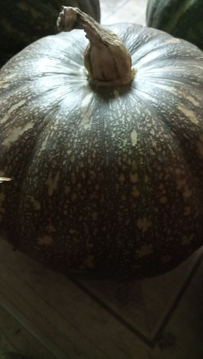 Тыква Любители тыквы знают что это очень полезно