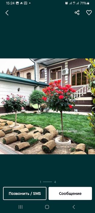 Archa kesish  xar xil mevali daraxtlar kesish dorilash