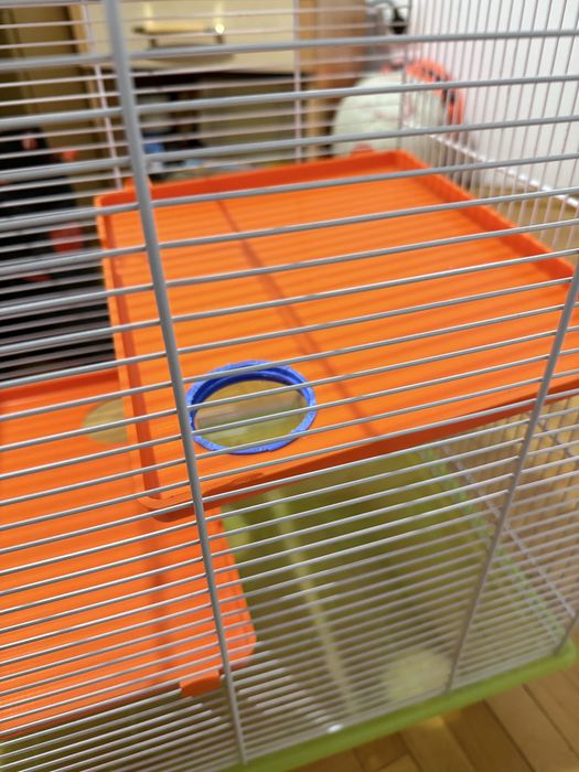 Cusca pentru hamsteri