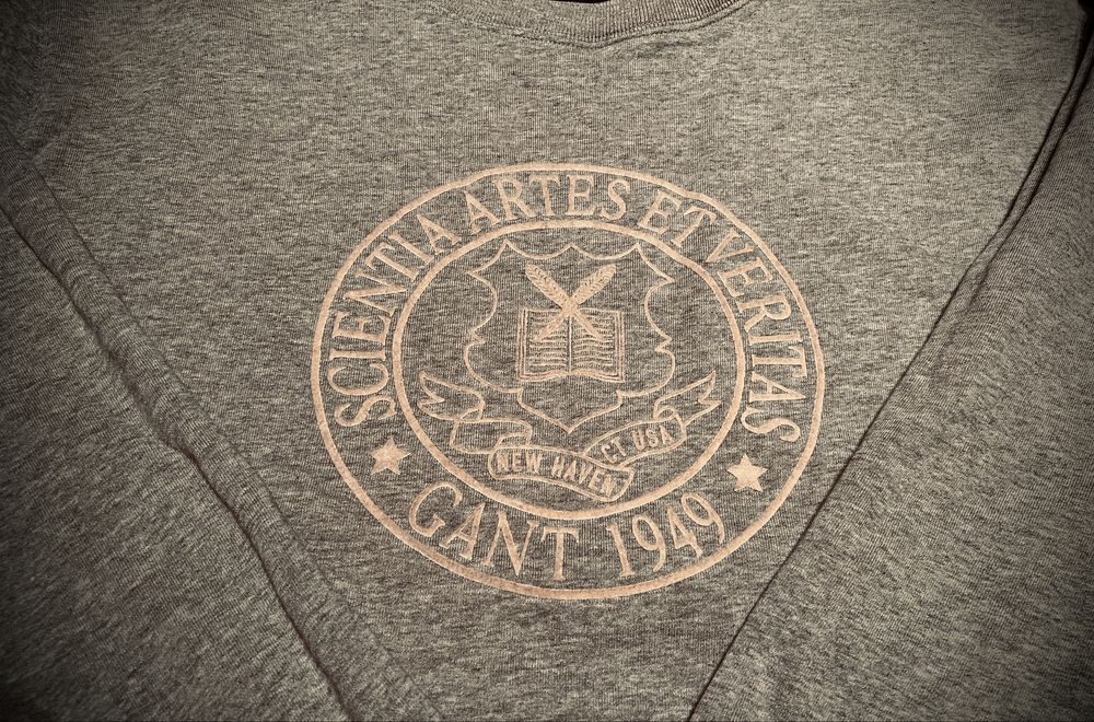 Мъжка ватирана спортна блуза GANT