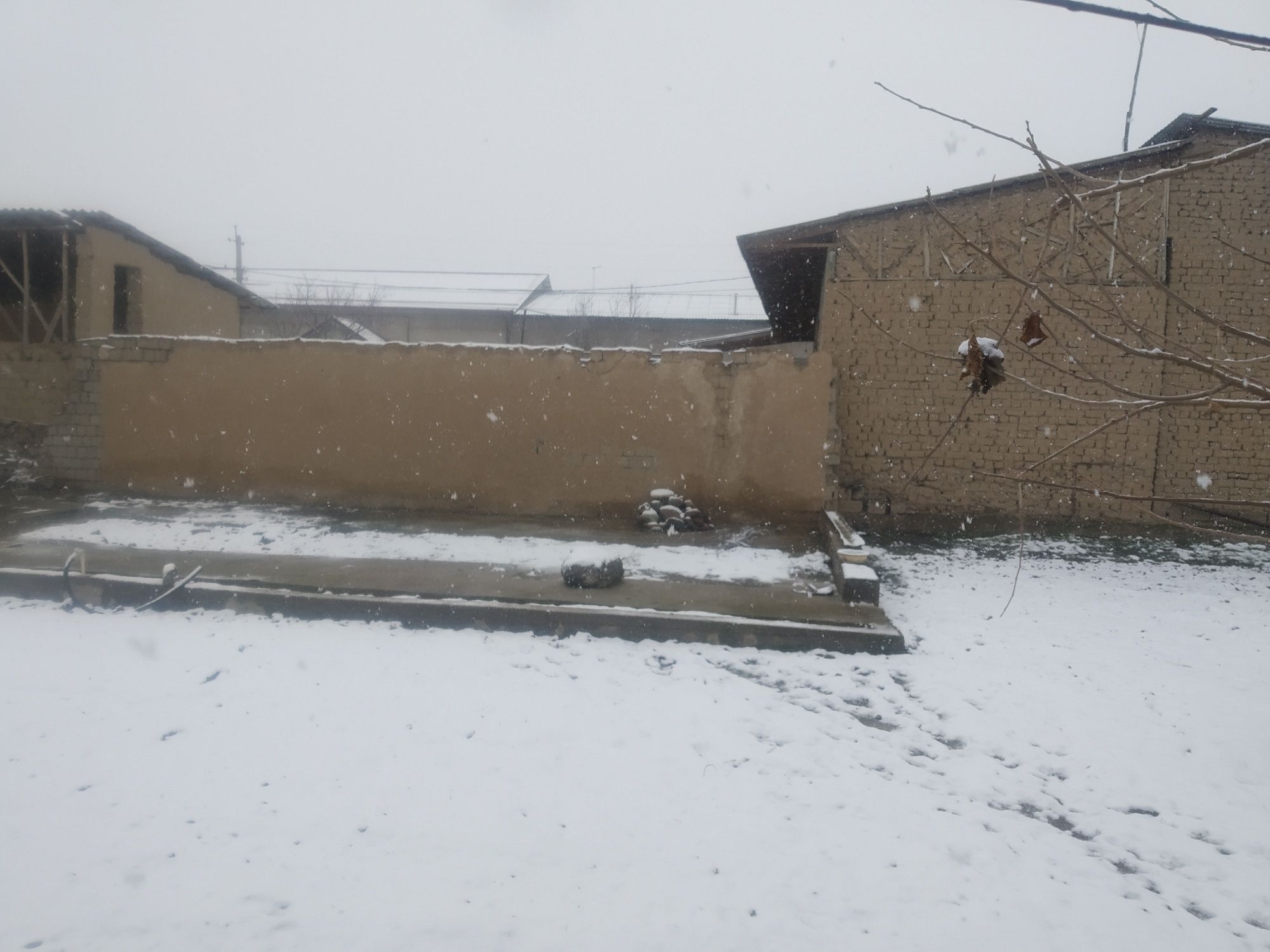 Sergili tumanida Yer sotiladi