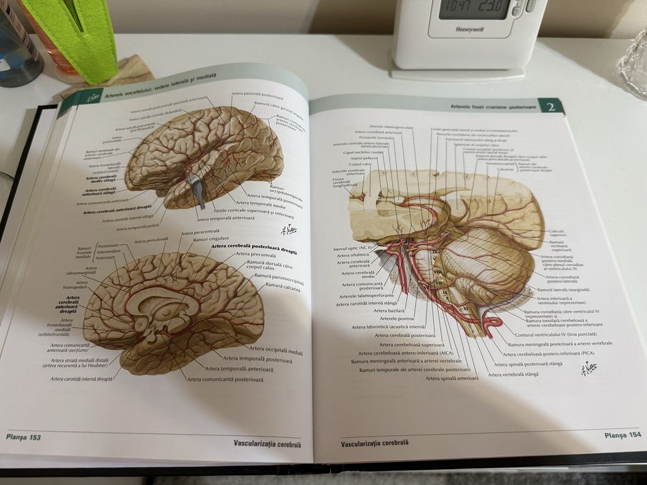 Atlas anatomie editia a 7-a Netter NOU