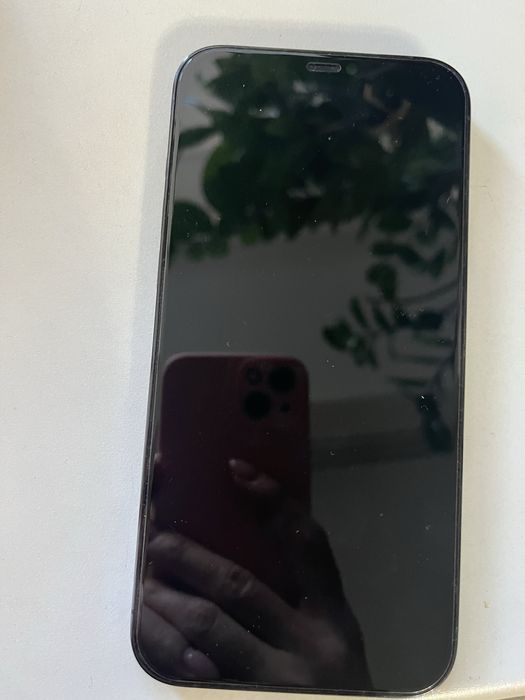 Iphone12 pro max