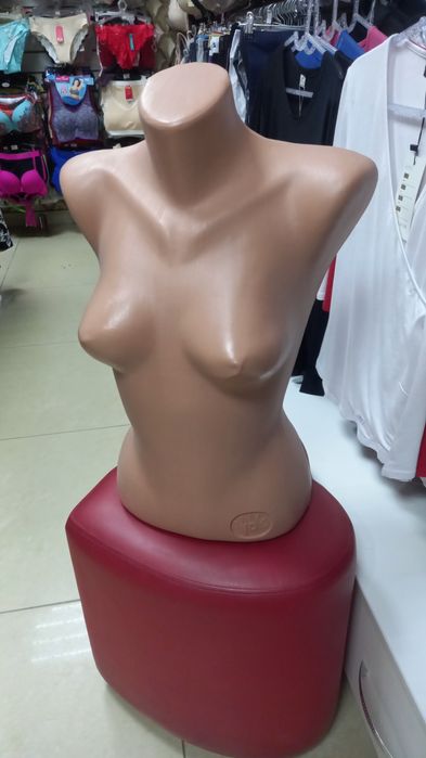 Манекены торсы  женские и мужские