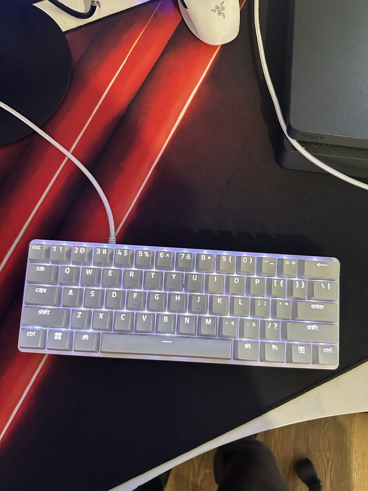 Huntsman mini на 6 месеца