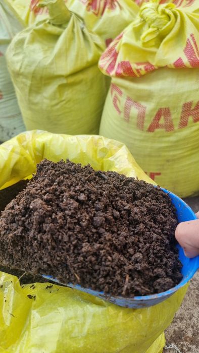 Biogumus 30 kg qopda