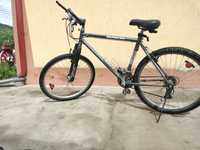 Bicicleta ridgeback