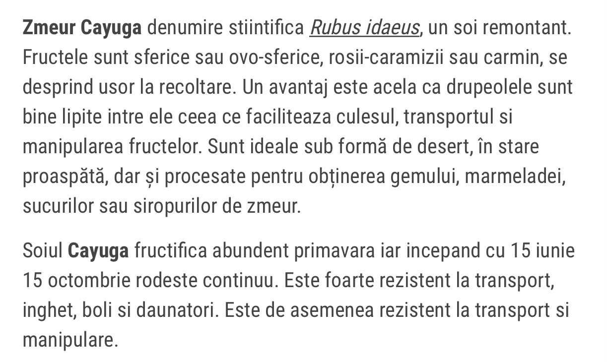 de vanzare butase de zmeura fertodi zamatos,cayuga