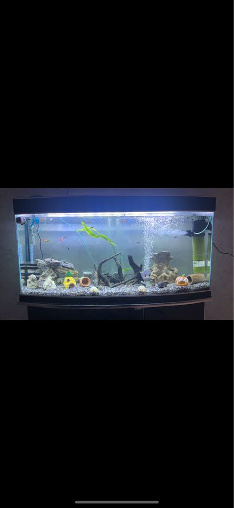 Akvarium sotiladi ! 200 litr xama narsasi bor