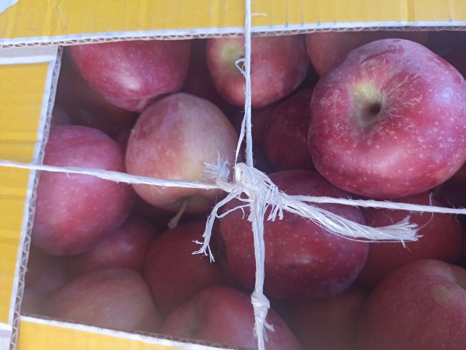 Яблоки "Старкримсон,Скарлетспур