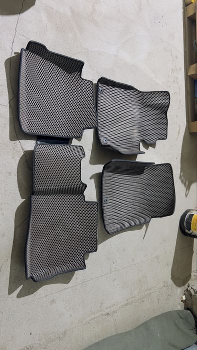 Эва полик соната лф