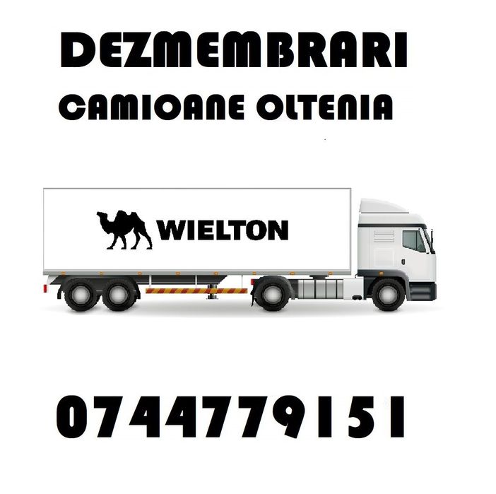 Piese Dezmembrari Semiremorca bena ( basculabila ) WIELTON : axe , etrieri , butuci , supape , butuci , arcuri , structuri , cilindrii