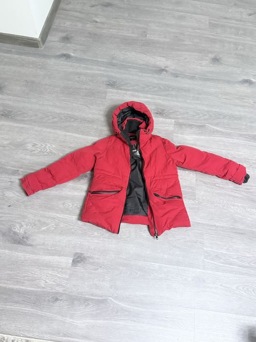 Курстка балоновая