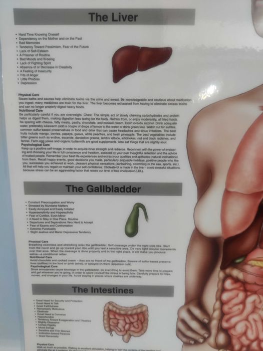 Afis Poster - legatura dintre EMOTII si BOLILE ORGANELOR noastre