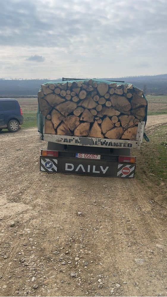 Lemne de foc esența tare 600 de lei metru cub cubaj corect